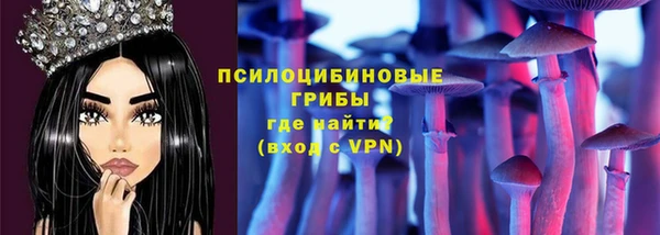 дмт Алексеевка